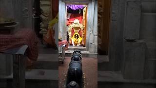 Someshwara temple 1200 years old halasuru banglore shorts [upl. by Guthrie566]