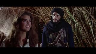 Sahara 1983 Brooke Shields  Barbra Streisand  Woman in Love [upl. by Goodman]