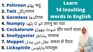 14 Insulting Words in English  Bad words in English and its HindiUrdu meaning  Learn English [upl. by Leind]