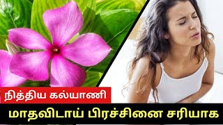 Nithyakalyani Flower Benefits Tamil  Maruthuvam  Cure Diabetes  நித்திய கல்யாணி மருத்துவ குணங்கள் [upl. by Ezalb]