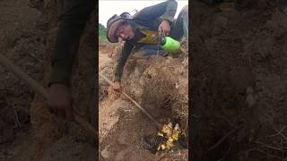 Metal Detector vs Map for the Best Finds Treasure metaldetecting shortsvideo [upl. by Tanhya]