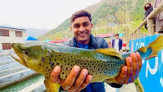 Catch and Cook Mountain Trout Fish Sawat Pakistan Rainbow Trout Fish Fry Mukkram Saleem [upl. by Lena]