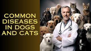 Common Diseases in Dogs and Cats Symptoms Prevention and Treatment [upl. by Selmner]