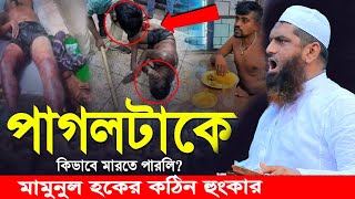 Live🔴শাহবাগ চত্বর থেকে সরাসরি লাইভ । মামুনুল হকের হুংকার । ড ইউনুস । allama mamunul haq [upl. by Farmann]