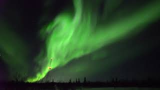 4k Live Aurora Borealis  Realtime Northern Lights  FAIRBANKS ALASKA [upl. by Nica]