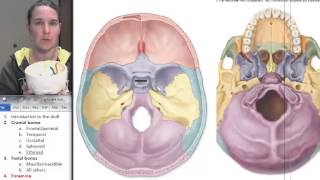 9 Skull foramina [upl. by Chiarra]