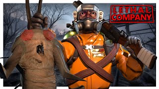 SFM LETHAL SHOTGUN GARDENING  Lethal Company [upl. by Vera]