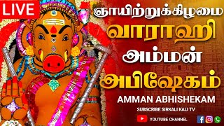 🔴LIVE ஆடி தஞ்சாவூர் ஸ்ரீ வாராஹி அம்மன் அபிஷேகம் பாருங்க  Varahi amman abhishekam [upl. by Nurse]