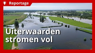 Vee staat noodgedwongen op stal door hoog water [upl. by Clayborne]