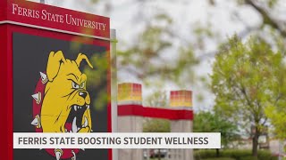 Ferris State partners with Pine Rest to address students mental health [upl. by Uok817]