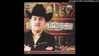 Arley Perez  57 [upl. by Gignac521]