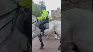 Mounted police officers mountedpolice metropolitanpolice londonpolice [upl. by Aramal368]