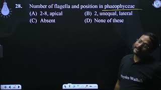 Number of flagella and position in phaeophyceae [upl. by Eliot]