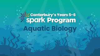 Canterbury’s Years 56 Spark Program  Aquatic Biology [upl. by Lewes]