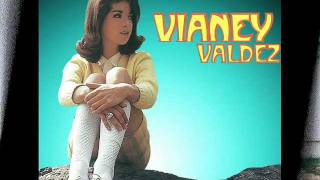 Vianey Valdez  Amarga Realidad [upl. by Alicec689]