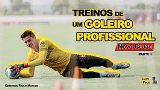 TREINOS de GOLEIRO PROFISSIONAL [upl. by Andrade217]