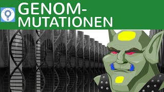 Genommutationen Trisomie Monosomie GeschlechtsAnomalien DownSyndrom  3  Genetik [upl. by Euqinomod]