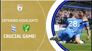 CRUCIAL GAME  Birmingham City v Norwich City extended highlights [upl. by Tab255]