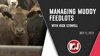 Managing Muddy Feedlots  July 12 2019 [upl. by Frey]