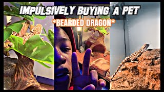 Impulsively Buying A Pet  Bearded Dragon  Lowkeylit Mar [upl. by Oemac298]