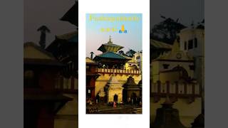 Pashupatinath Aarti ❤️🙏 bholenath harharmahadev nocopyrightmusic pashupatinath [upl. by Liauqram959]