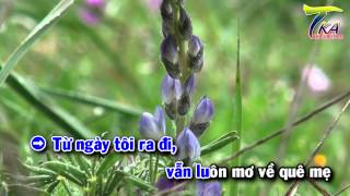 TKaraoke HD 03  Minh Tri  Ngot Ngao Que Me [upl. by Belva101]