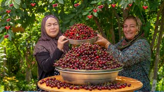 Brand New Cherry Flavor Cooking Cherry Jam inside fresh Cherry Juice Cherry Pie Recipe [upl. by Eliak]