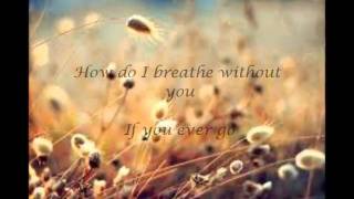 How do I live without you LeAnn Rimes with lyrics [upl. by Iphigenia848]