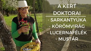 Borbás Marcsi Kertem  A kert doktorai 6 rész [upl. by Lennon]