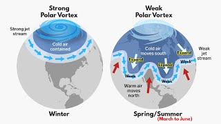 Polar Vortex  How its formed amp When it is dangerous  Indepth Explained [upl. by Ednyl623]