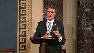 Senator David Perdue Speaks On Senate Floor About Immigration [upl. by Alek]