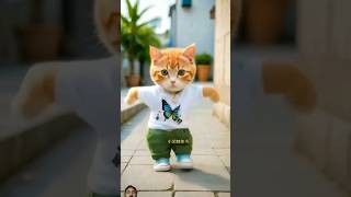 cute video cat danic [upl. by Erdnoed]