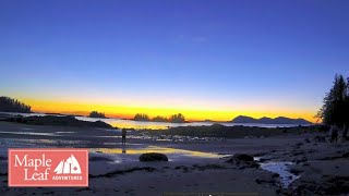 Wild Inside Passage BC Alaska and Haida Gwaii Small Ship Expedition Cruise [upl. by Edyaw577]