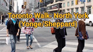 Mesmerizing Walking Tour of Toronto North York  Yonge amp Sheppard [upl. by Ahsieket]