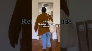 White Refrigerators YES or NO [upl. by Marvin]