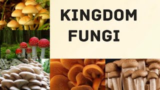 Kingdom Fungi  Kelas X SMA [upl. by Orlanta]