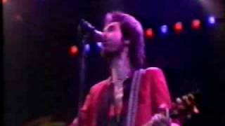 The Kinks Lola live 1981 [upl. by Ellehcan]