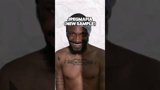 Sample Breakdown JPEGMAFIA  Either on or off the drugs [upl. by Caryn]