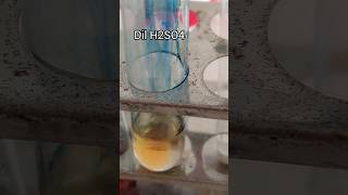 Bromothymol blue acid base indicatorchemistryviralvideo [upl. by Jabin662]