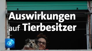 CoronaVirus Können sich auch Hunde und Katzen anstecken [upl. by Terhune689]