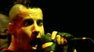 Red Hot Chili Peppers  Give It Away  Live Off The Map HD [upl. by Arihk]