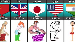 Average Penis Size Of Males From Different Countries [upl. by Nus]