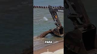 Así se Realiza el Relleno de Playas 😱 [upl. by Gal537]