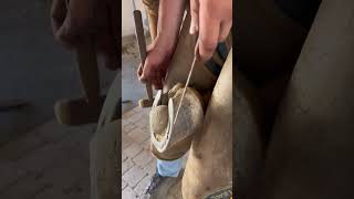 Iron horseshoe cleaning process [upl. by Adnoryt221]