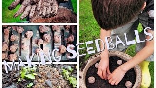 Making Seedballs [upl. by Raual327]