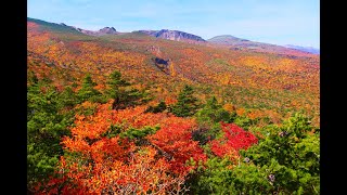 JG8K HDR 福島 安達太良山の紅葉 手軽に行ける絶景紅葉 FukusdhimaAdatarayama in Autumn [upl. by Vocaay849]