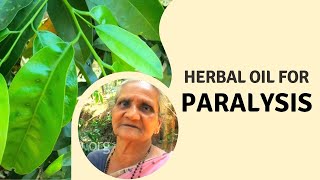 Home remedies For Paralysis  Herbal oil using Karingotta plant for paralysis  Herbal Oil Making [upl. by Pritchard631]