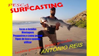 Pesca Surfcasting com António Reis  quotisco grande peixe grandequot [upl. by Sivahc]