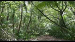 Olohega or Swains Island Part 2 of 3 Tagata Pasifika [upl. by Reamy]