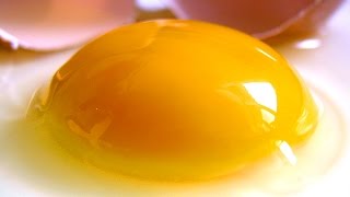 4 Great Ways to Separate Egg Yolk and Egg White [upl. by Farrica]